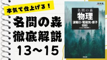 重要問題集」徹底解説（96〜100問）：未来の得点力へ！完全